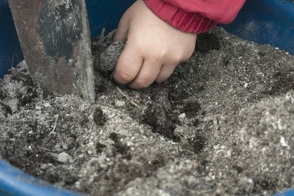 Shown is the hand of a child kneading the soil in a blue plastic basin with a shovel