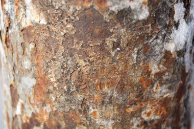 Eski sıkıntılı ve paslı metal direkler doku fotoğrafı. Çelik yapısal sütunlarda pas.