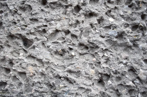 Texture Plâtre Est Coléoptère Écorce Sur Mur Texture Grise Sans — Photo