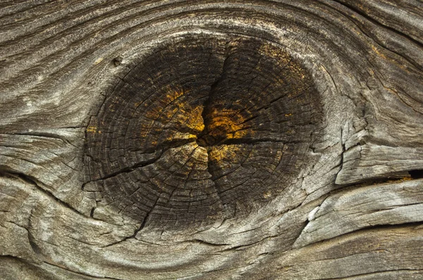 Parts Dark Brown Old Wooden Wall Bright Yellow Knot Resin — Stock Photo, Image