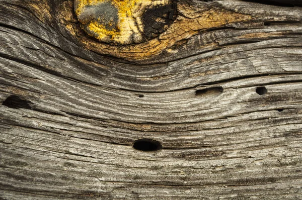 深褐色的旧木墙的部分 带有明亮的黄色结和树脂特写 — 图库照片