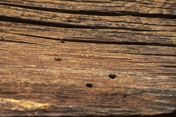 Textura Madeira Brilhante Com Rachaduras Furos Besouros Defeitos Madeira Danos — Fotografia de Stock