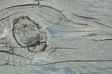 Beyaz boyanmış ev çam duvarlı düğüm ve çatlamış yakın çekim. Doku, arkaplan