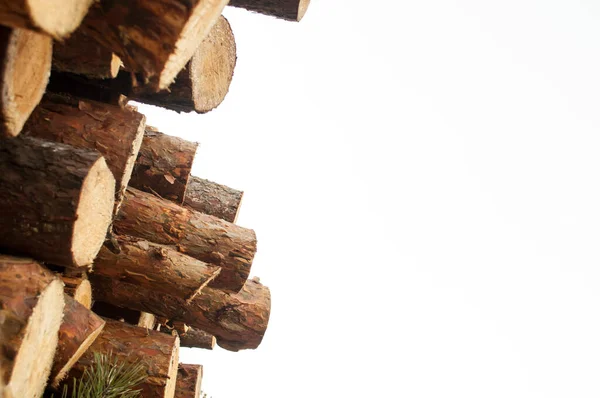 Zusammengesetztes Nicht Gehäckseltes Brennholz Holzlagerplatz Holzfällerei Frisch Geschnittenes Holz — Stockfoto