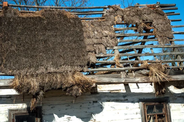 Old dilapidated wooden house with whitewashed walls and thatched leaky roof against the sky. The perforated roof and the sky through it are more visible