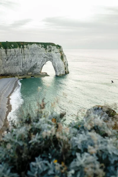 法国埃特雷塔 诺曼底美丽的大自然 英吉利海峡沿岸著名的埃特里特悬崖 — 图库照片