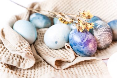 Renkli paskalya yumurtaları ve beyaz arka planda kırsal tarzda bahar çiçekleri olan güzel sakin bir hayat..