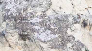 eski gri taş yüzey