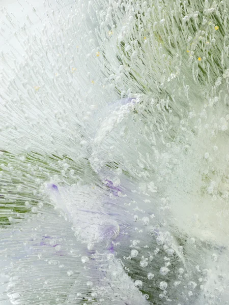 Замороженная органическая вертикальная абстракция — стоковое фото