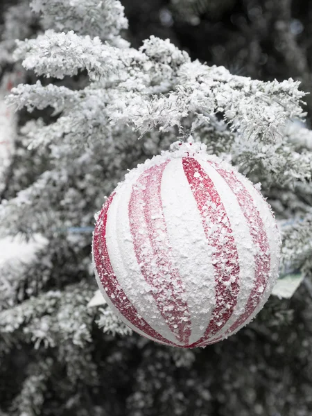 Boule rayée rouge sur un sapin de Noël — Photo