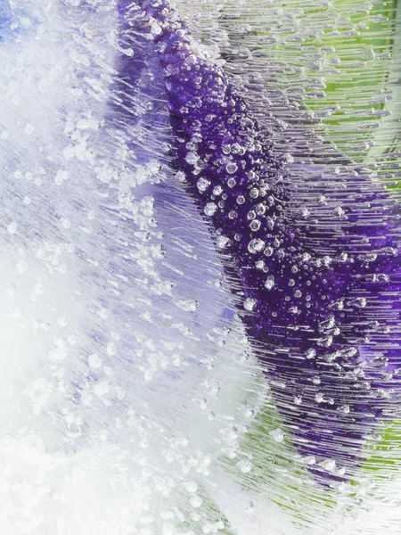 Organic purple green abstraction — Stock Photo, Image