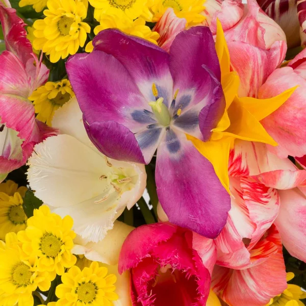 Beautiful flowers in a bouquet — Stock Photo, Image