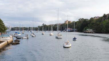 Sydney cityscape, Avustralya