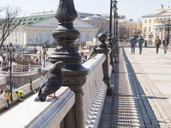 Praça Manezhnaya na primavera, Moscou — Fotografia de Stock