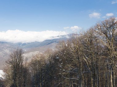 dağlarda erken Bahar