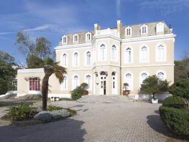 Nikola Palace 1 müzede, Bar