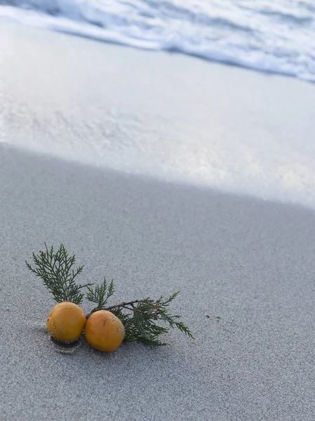 Naalden en mandarijnen en golven — Stockfoto