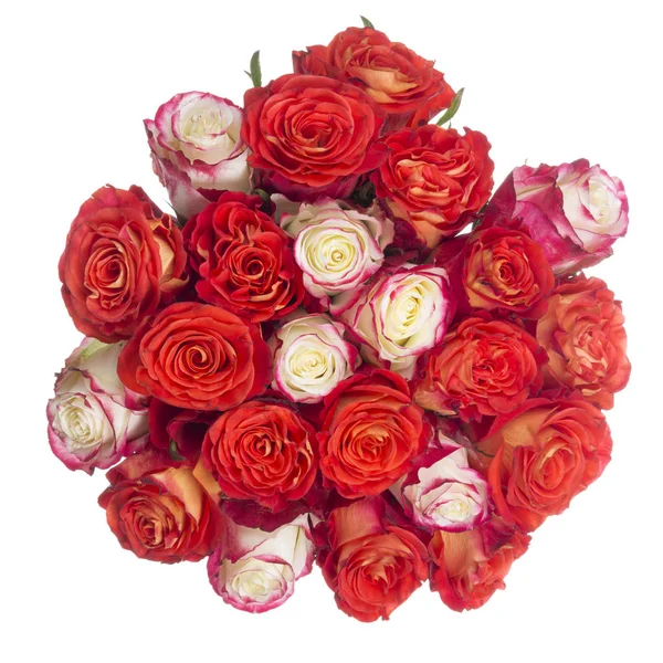 Bouquet of red and white roses — Stock Photo, Image