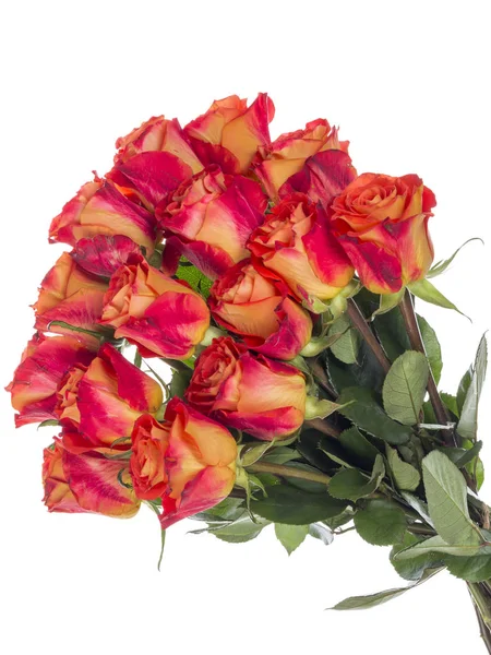 Bouquet of roses on a white background — Stock Photo, Image