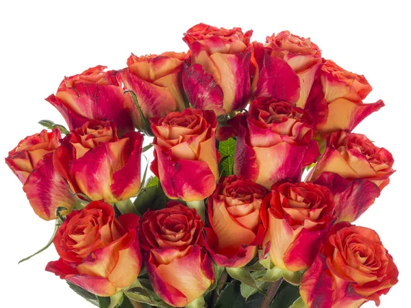 Bouquet of red-orange roses — Stock Photo, Image