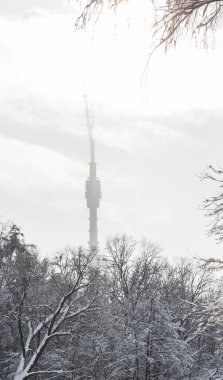Bulutlar, Moskova Ostankino Kulesi gölge