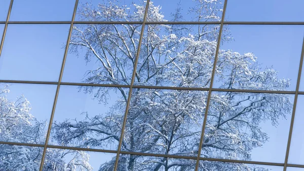 Besneeuwde landschap in het venster — Stockfoto