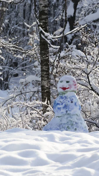 ウィンターパークの雪だるま — ストック写真