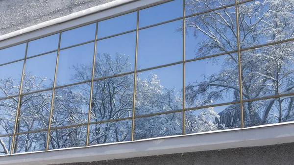 Зимовий пейзаж, відображений у вікні — стокове фото