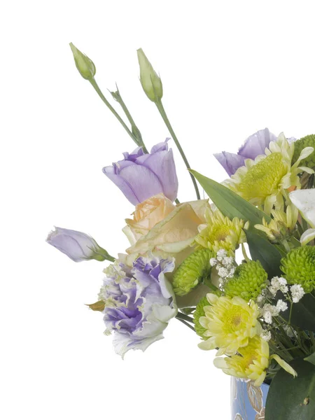 Delicati fiori su sfondo bianco — Foto Stock