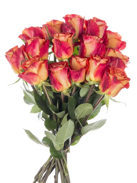 Beautiful bouquet of bright roses — Stock Photo, Image