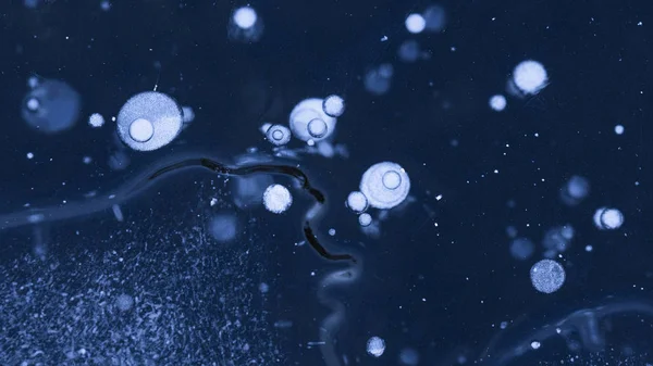 Many different bubbles in ice — Stock Photo, Image