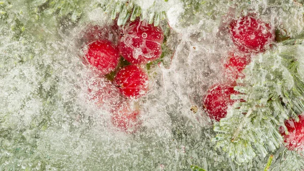 红色美丽而明亮的浆果 绿色的刺刺枝条 还有大量的气泡 都冻在冰上了 — 图库照片
