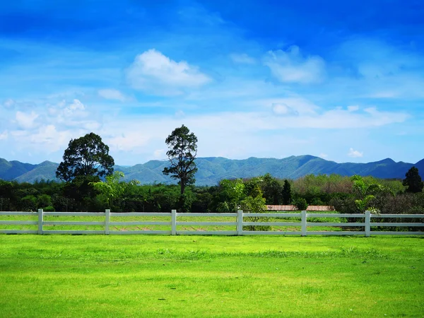 Grönt gräs fält med hill på landsbygden i Thailand — Stockfoto