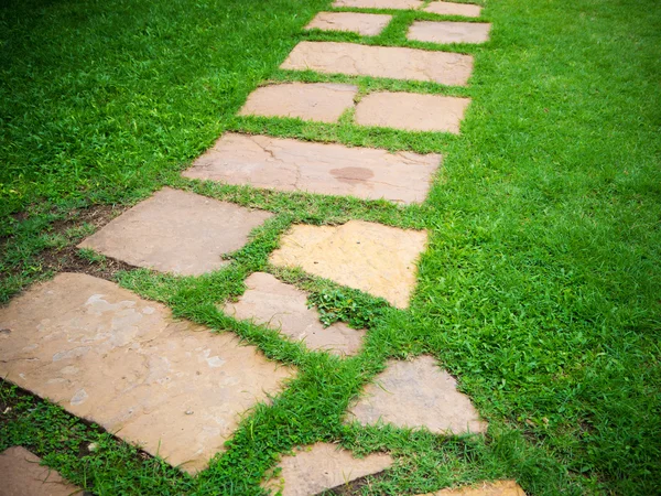 Blocco di pietra modo a piedi in giardino con sfondo erba verde — Foto Stock