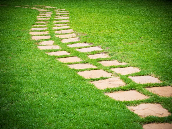 Каменный блок дорожки в саду на зеленом фоне травы — стоковое фото