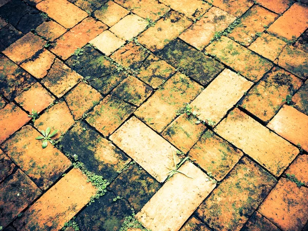 Grungy pavimento in mattoni con poca erba in crescita per lo sfondo — Foto Stock