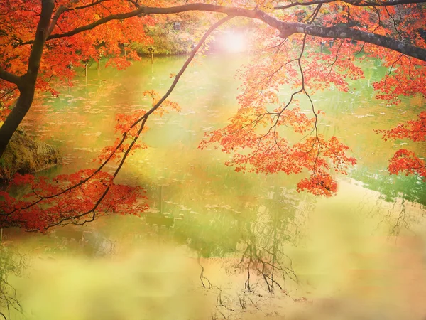 Verschwimmen abstrakte Herbst Hintergrund in mifuneyama rakuen garden, saga, japan — Stockfoto