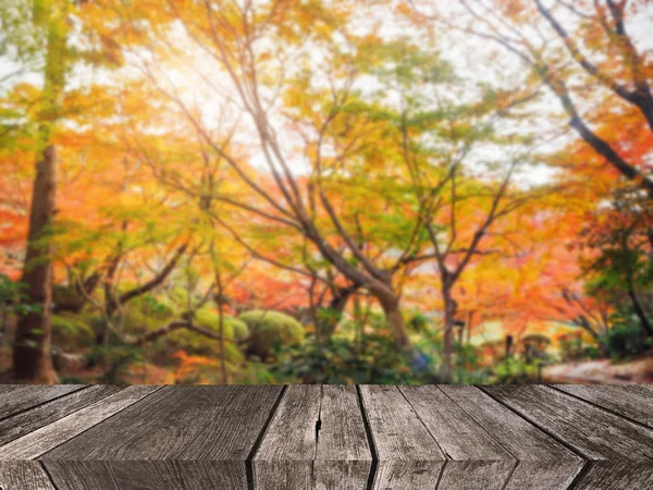 Fondo de desenfoque de bosque de otoño abstracto con tablón de madera — Foto de Stock