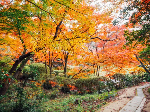 Flou Résumé Fond d'automne à Mifuneyama Rakuen Garden — Photo