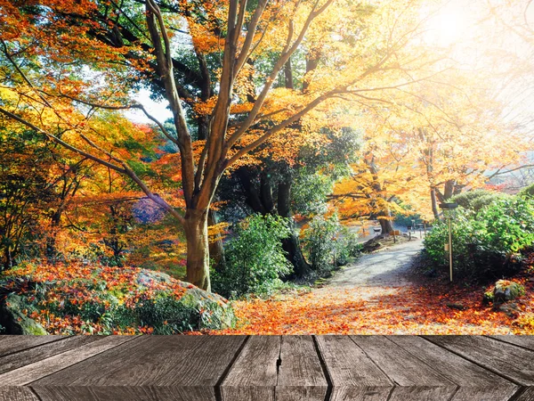 Abstrait automne forêt flou fond avec planche de bois — Photo