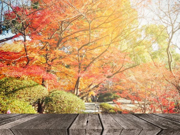 Abstrato outono floresta borrão fundo com prancha de madeira — Fotografia de Stock