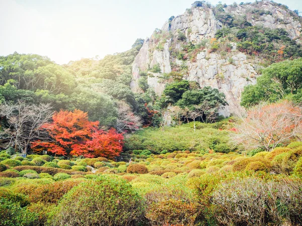 Destan, Kuzey Kyushu bahçede Mifuneyama Raku — Stok fotoğraf