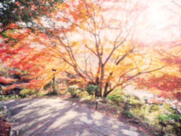 抽象的な秋ぼかしとソフトの背景 — ストック写真