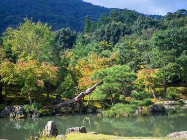 Arashiyama, Kyoto, Japonya Tenryuji tapınağında Japon bahçesi. 