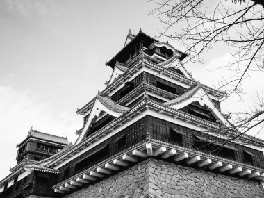 Kumamoto kale tek renkli siyah ve beyaz