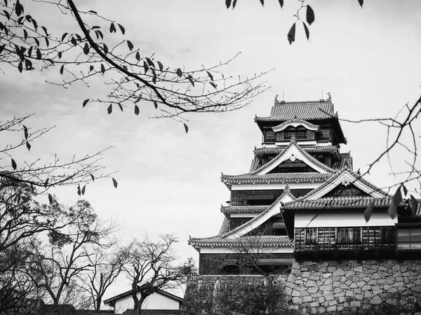 Kumamoto kale tek renkli siyah ve beyaz — Stok fotoğraf