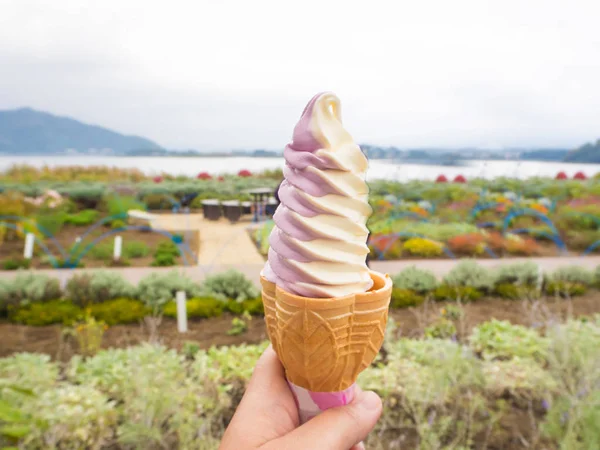Crema suave de vainilla mezclada con arándanos en el lago Kawaguchiko, Japón — Foto de Stock