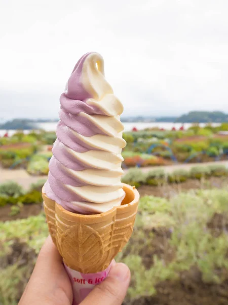 Crema morbida alla vaniglia mista ai mirtilli al lago Kawaguchiko, Giappone — Foto Stock