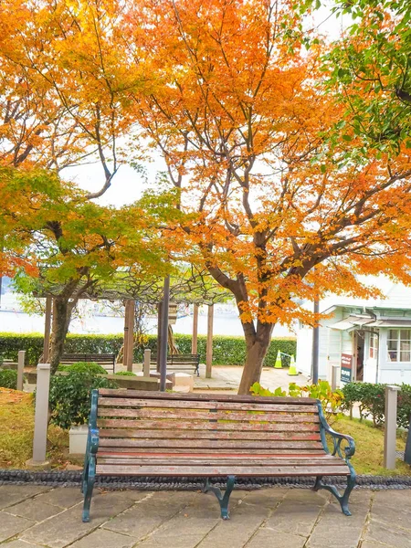 Holzbank im Park im Herbst im Glover Garden — Stockfoto