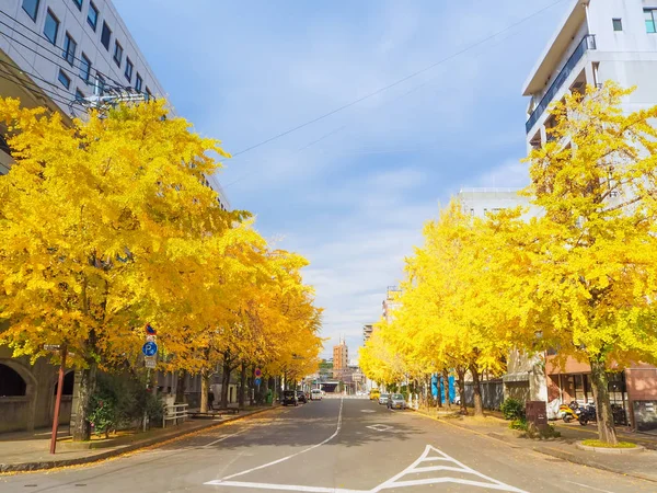 Nagasaki, Japonya cadde boyunca sonbahar ginko ağacı — Stok fotoğraf